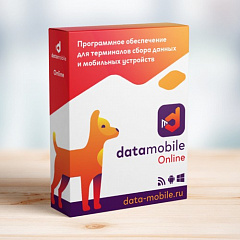 DataMobile, версия Online в Казани