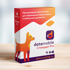 ПО DataMobile, версия Стандарт Pro в Казани